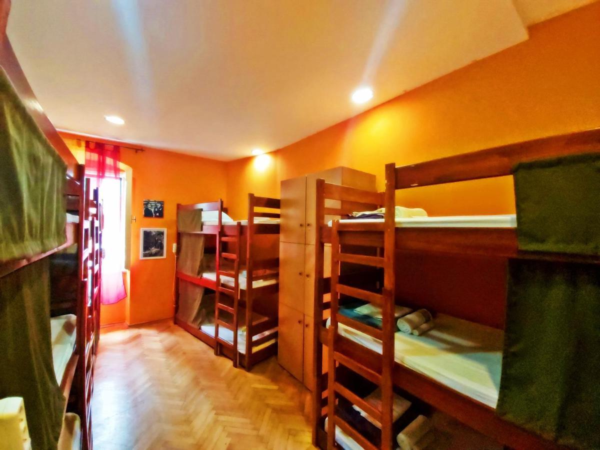 Bunk Bed Mixed Dormitory Room,980746684:JPEG