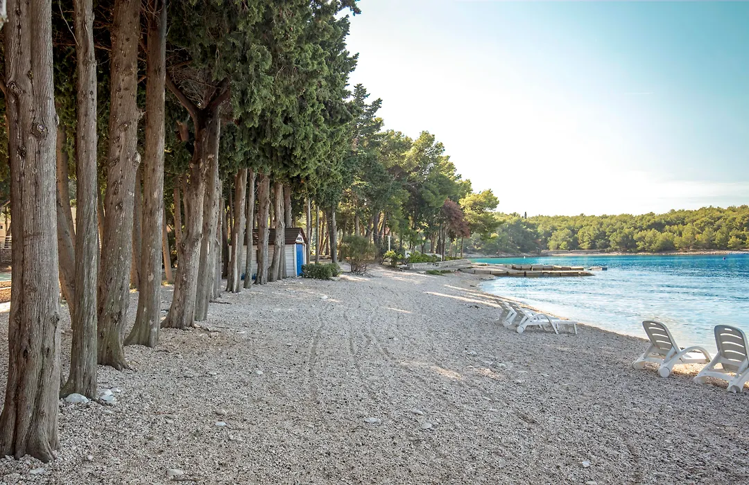 Bluesun Villa Vela Luka-1