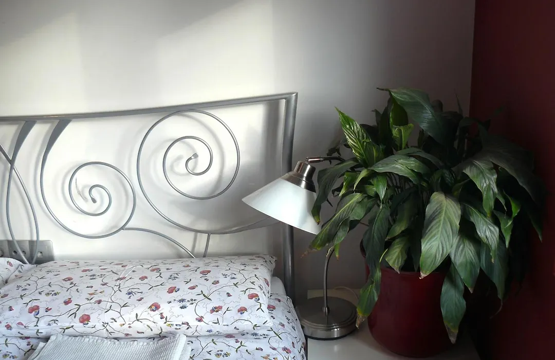 Celic Art Apartments-1