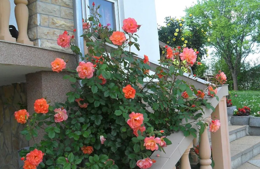Guesthouse Sara-1