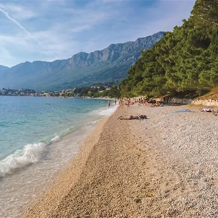 Hotel Oaza Gradac-3