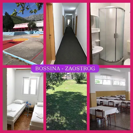 Bossina Zaostrog-2