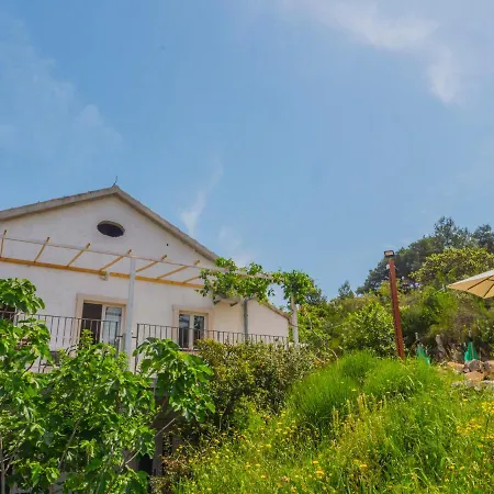 Hostel Kapa-2