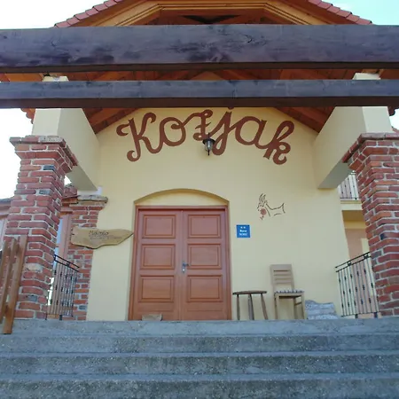 Guest House Kozjak-3