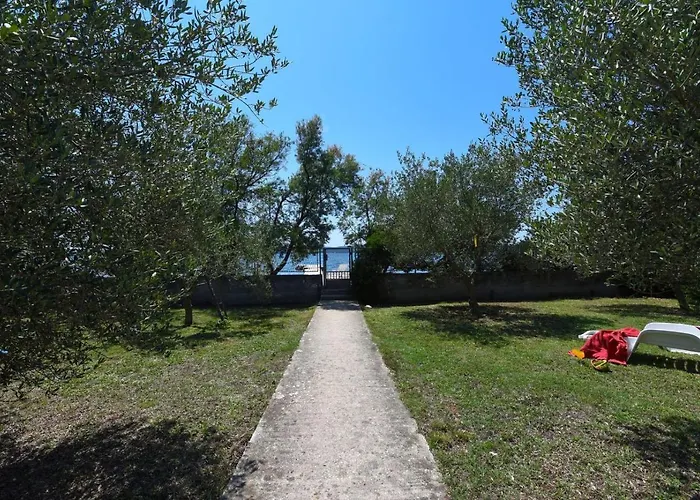Apartments Bibinje By The Beach