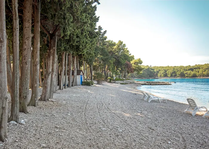Bluesun Villa Vela Luka Mirca 