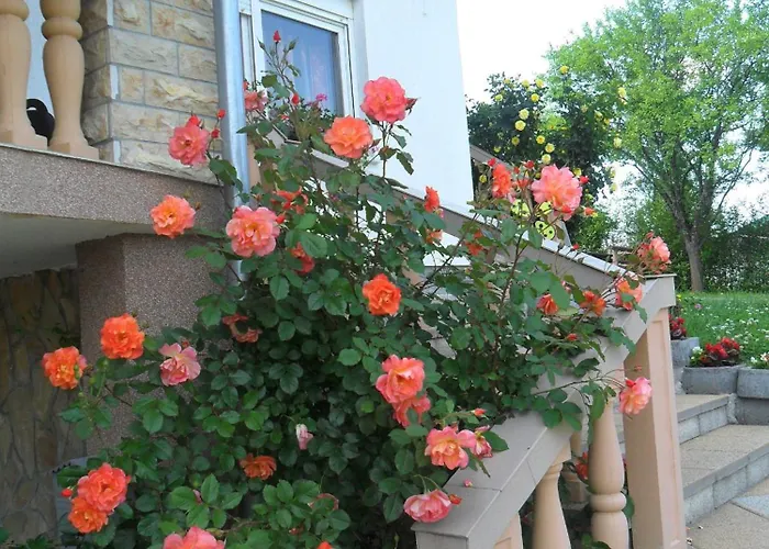 Guesthouse Sara Grabovac 