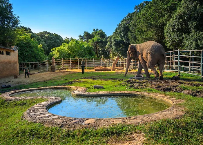 Brijuni Hotel Istra Fazana