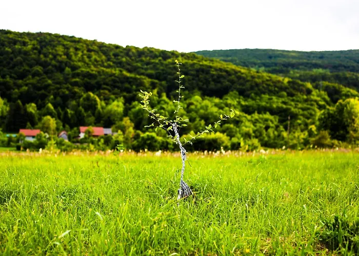 Rooms & Glamping Lana Haus Licko Petrovo Selo